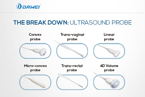 Ultrasound Transducer Types GE M4S Cardiac Sector Array Ultrasound