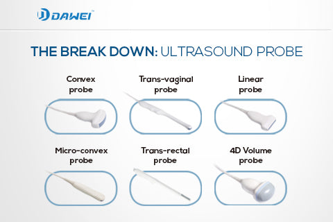 The Break Down: Ultrasound Probe