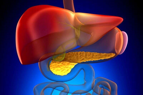 Endoscopic ultrasound guided drainage studied in noncholecystitis gallbladder disease