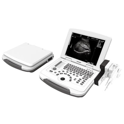 B&W ultrasound machine
